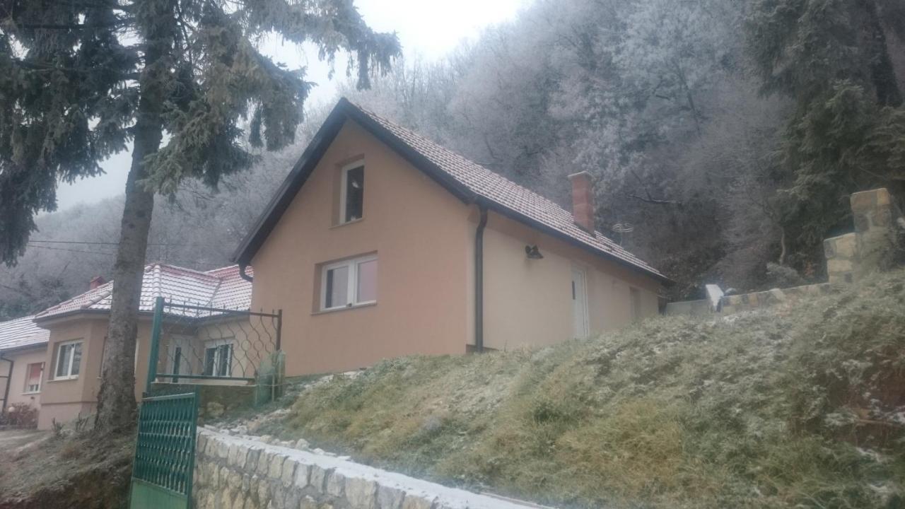 Zlatica Villa Kalnik Exterior foto